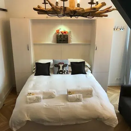 Marie Paradis 15 Appartement Chamonix